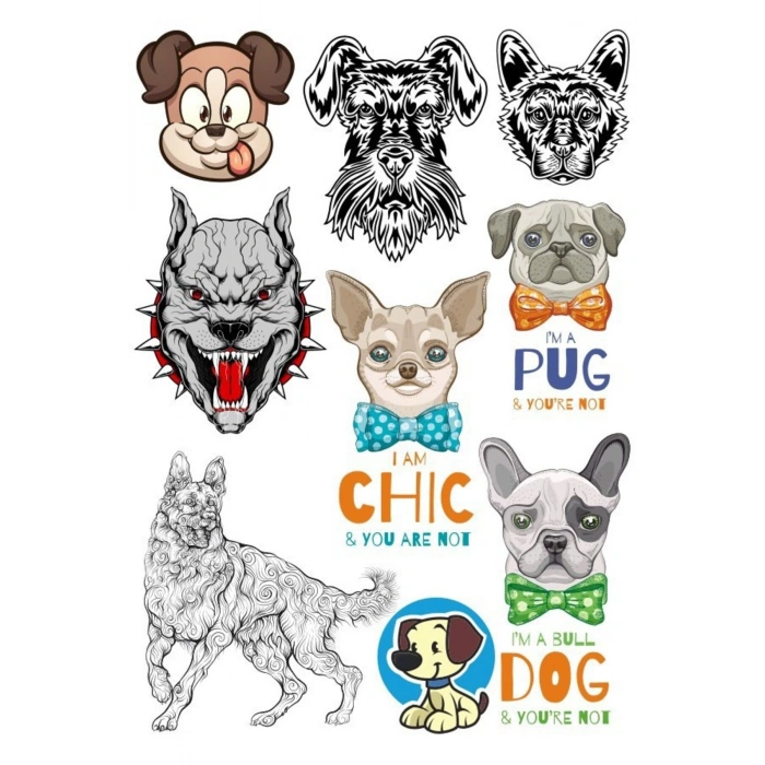 Köpek Pitbull Sticke Set-1 9 Parça Telefon, Tablet, Defter, Laptop Sticker