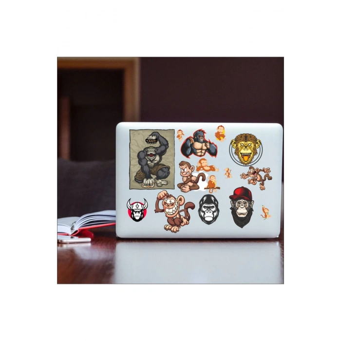 Kartal Sticker Set-1 11 Parça Telefon, Tablet, Defter, Laptop Sticker