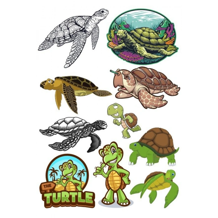 Kaplumbağa Sticker Set-1 10 Parça Telefon, Tablet, Defter, Laptop Sticker
