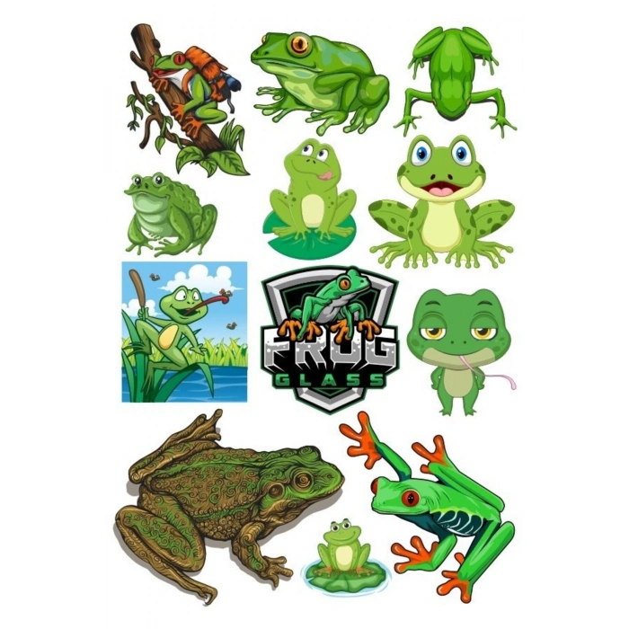 Kurbağa Sticker Set-1 12 Parça Telefon, Tablet, Defter, Laptop Sticker