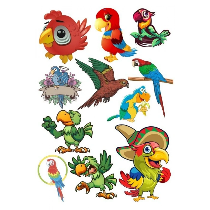 Papağan Sticker Set-1 12 Parça Telefon, Tablet, Defter, Laptop Sticker