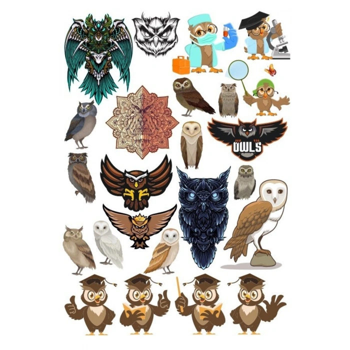 Baykuş OWL Sticker Set-16 16 Parça Telefon, Tablet, Defter, Laptop Sticker