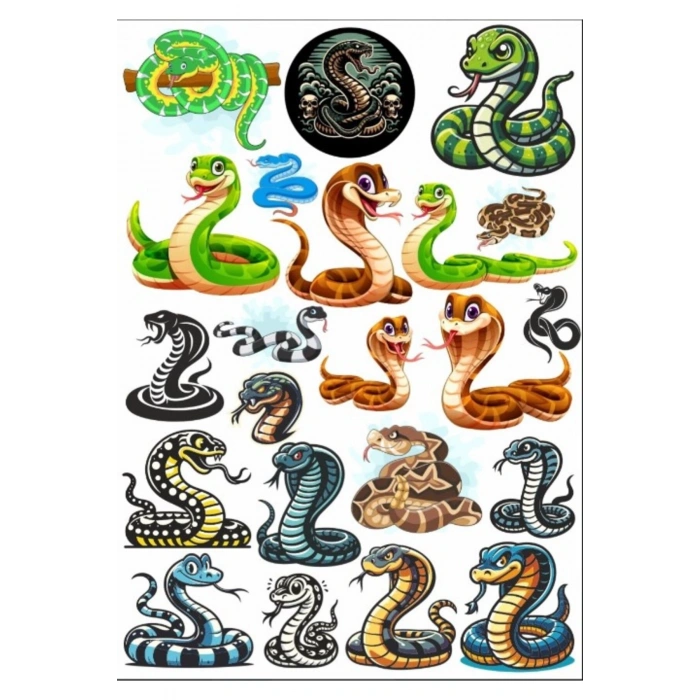 Yılan Snicker Set 2