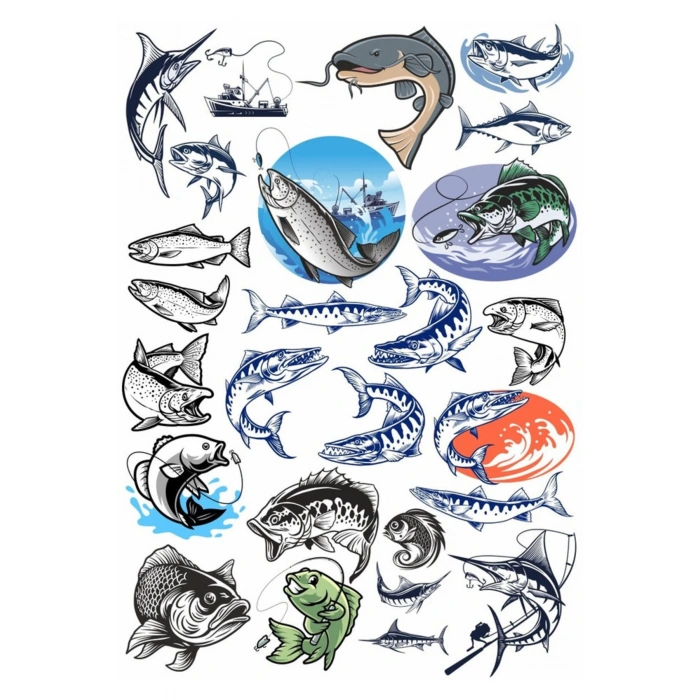 Balıkçılık ve Balık Sticker Set 1