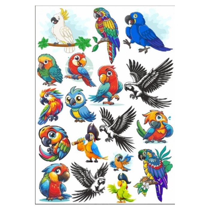Papağan Sticker Set