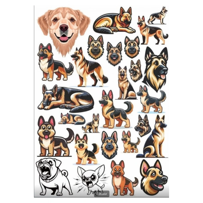 K9 Köpek Sticker Set 2