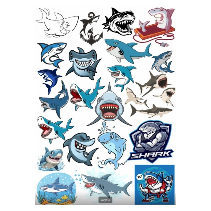 Köpek Balığı Sticker Set 1