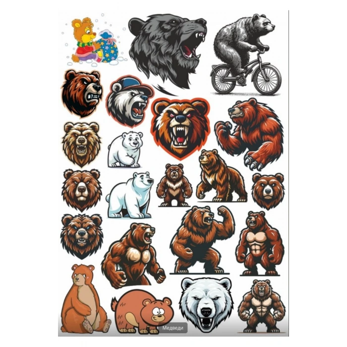 Kızgın Ayı Sticker Set 2