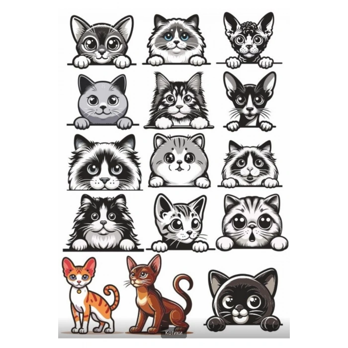 Siyah Beyaz Kediler Sticker Set 2