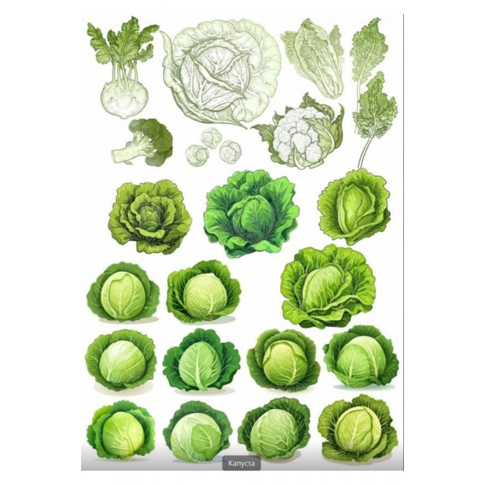 Lahana Sticker Set 5