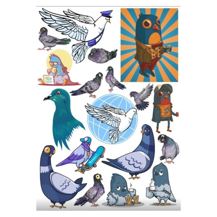 Güvercin Sticker Set 1