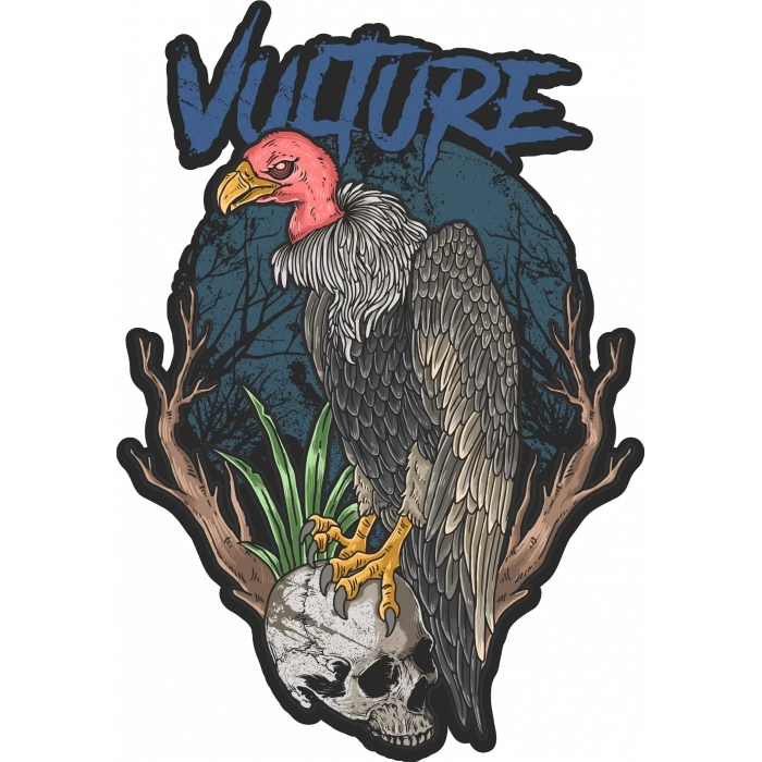 Akbaba Sticker 10x10 cmRenkli Sticker