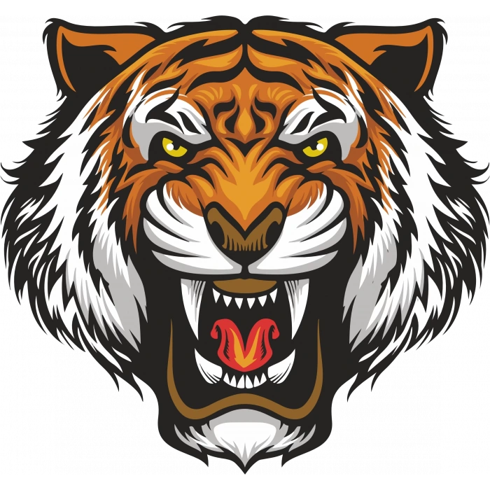 Kaplan Sticker 5 10x10 cmRenkli Sticker