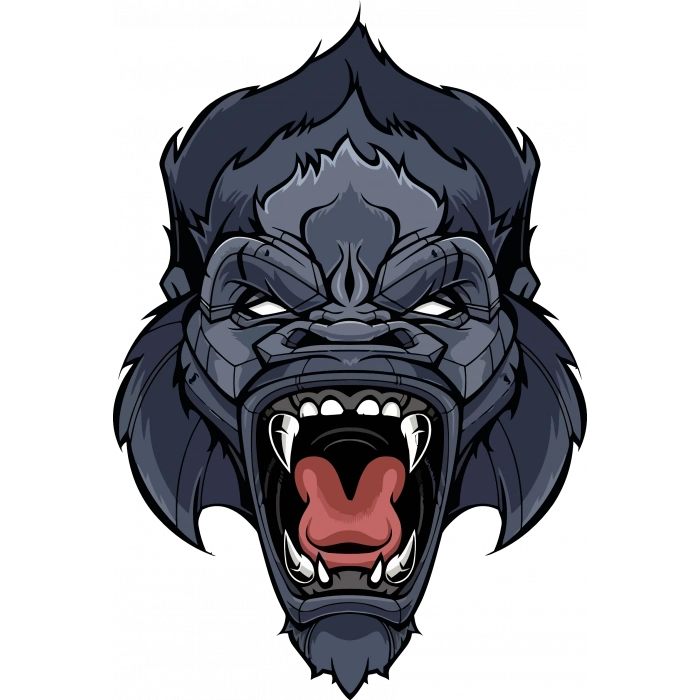 Maymun Sticker 10x10 cmRenkli Sticker