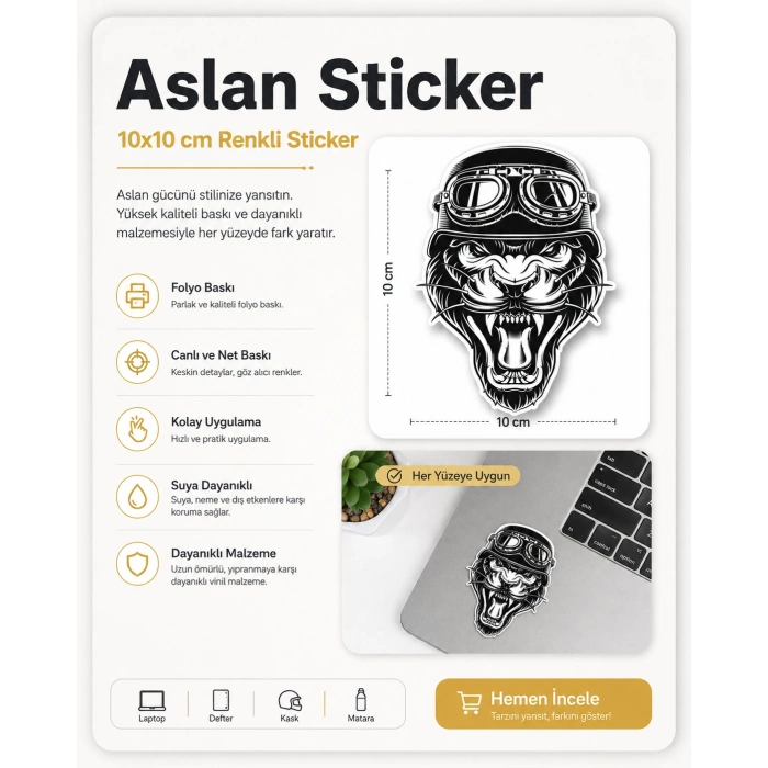 Aslan Sticker 10x10 cmRenkli Sticker