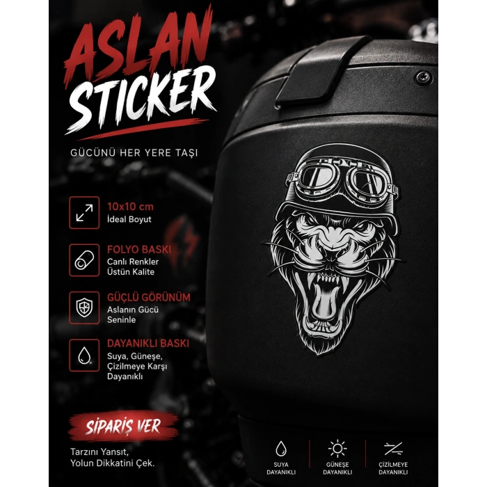 Aslan Sticker 10x10 cmRenkli Sticker