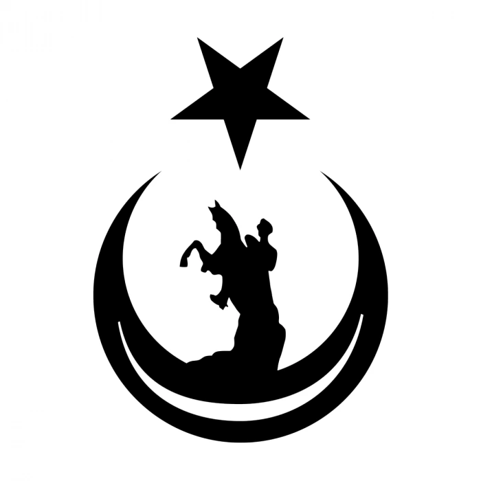 Ay Yıldız İçinde Atatürk Silüeti Sticker17x17 Cm Siyah