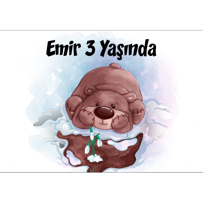 Ayıcık Temalı Doğum Günü Afişi 70X100 cm