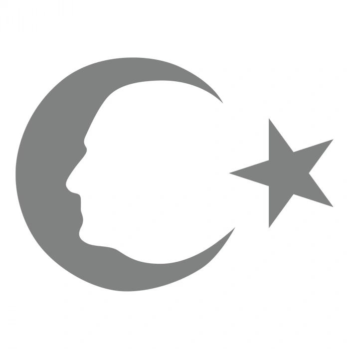 Ayyıldız ve Atatürk Silüeti Sticker17x17 Cm Gri