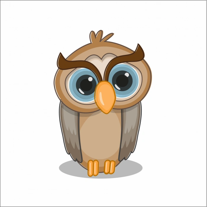 Baykuş Duvar Sticker