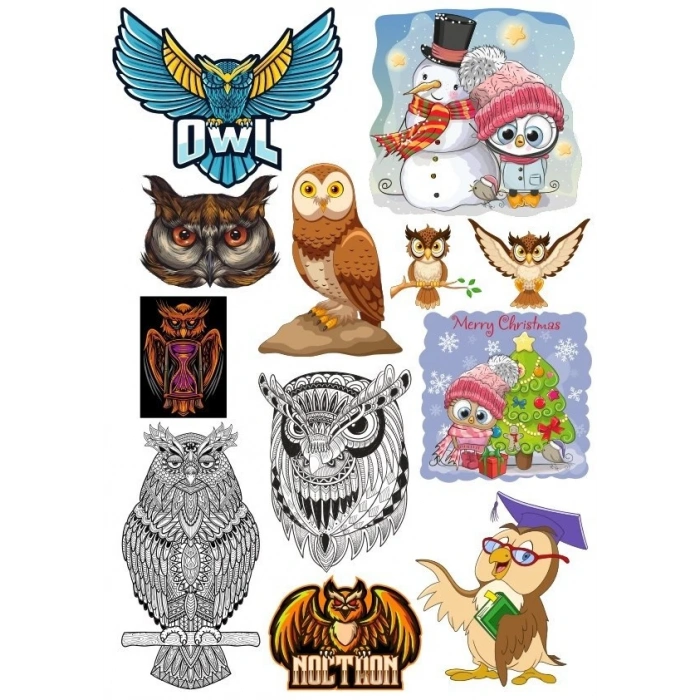 Baykuş Owl Sticker Set 11 Parça Telefon, Tablet, Defter, Laptop Sticker