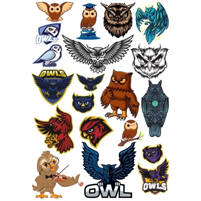 Baykuş OWL Sticker Set-12 20 Parça Telefon, Tablet, Defter, Laptop Sticker