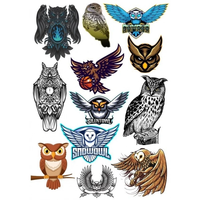 Baykuş Owl Sticker Set-2 13 Parça Telefon, Tablet, Defter, Laptop Sticker