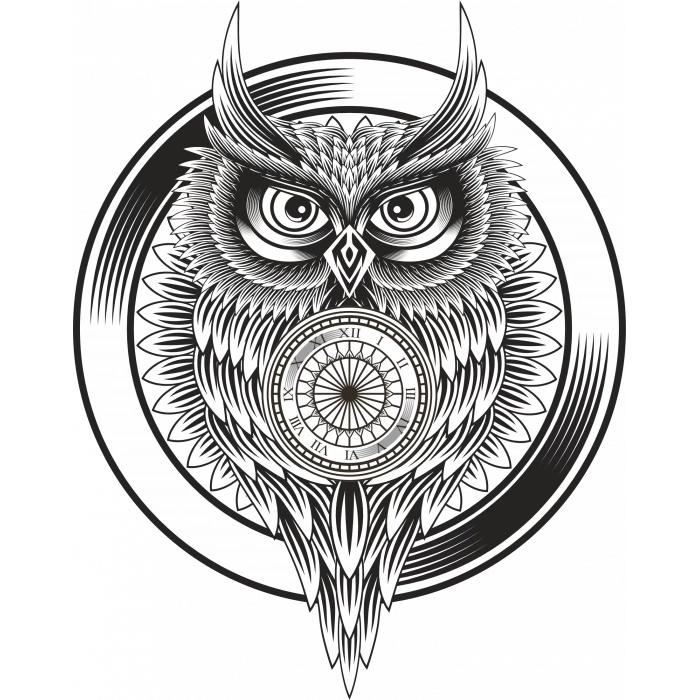 Baykuş Sticker 10x10 cmRenkli Sticker