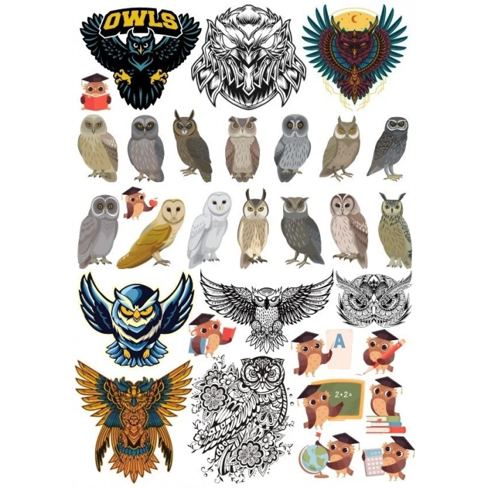 Baykuş Sticker Set 20 Parça Telefon, Tablet, Defter, Laptop Sticker