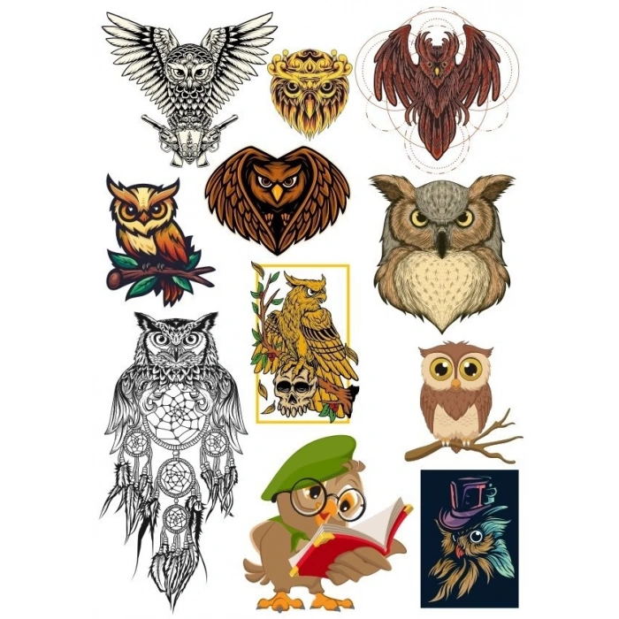 Baykuş Sticker Set-3 11 Parça Telefon, Tablet, Defter, Laptop Sticker