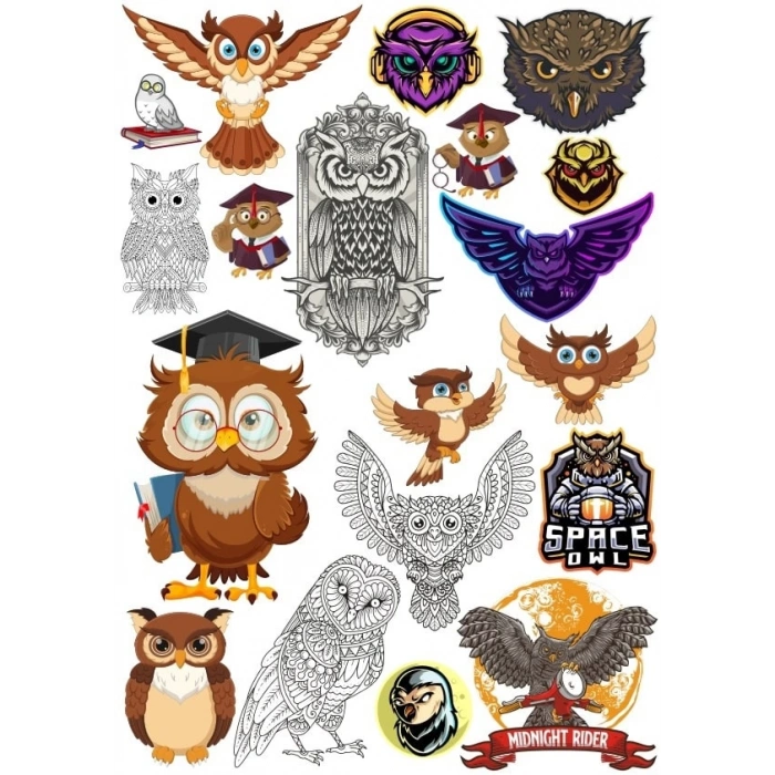 Baykuş Sticker Set 6 16 Parça Telefon, Tablet, Defter, Laptop Sticker