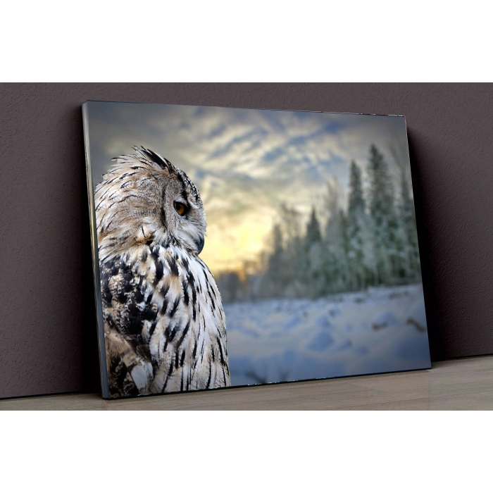 Baykuş Ve Kış Kanvas