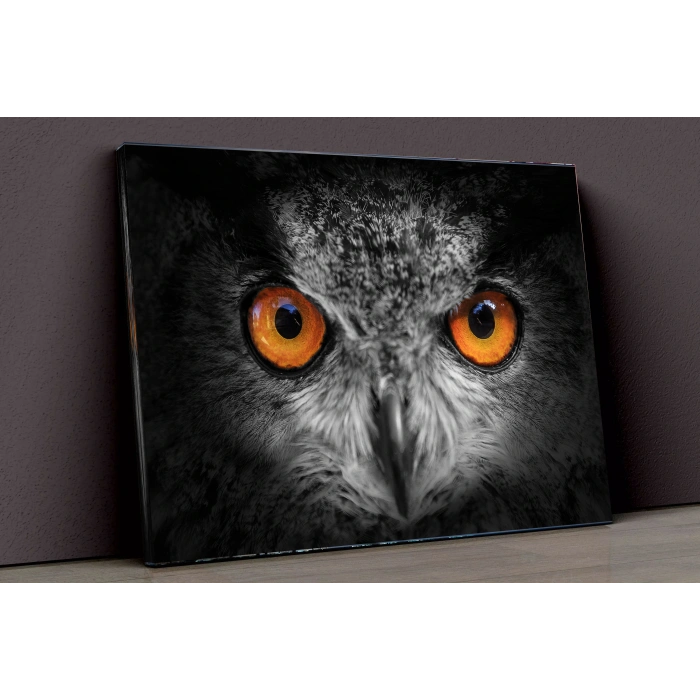 Baykuş Ve Kış Kanvas