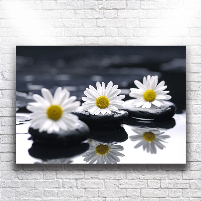 Beyaz Çiçekler Kanvas