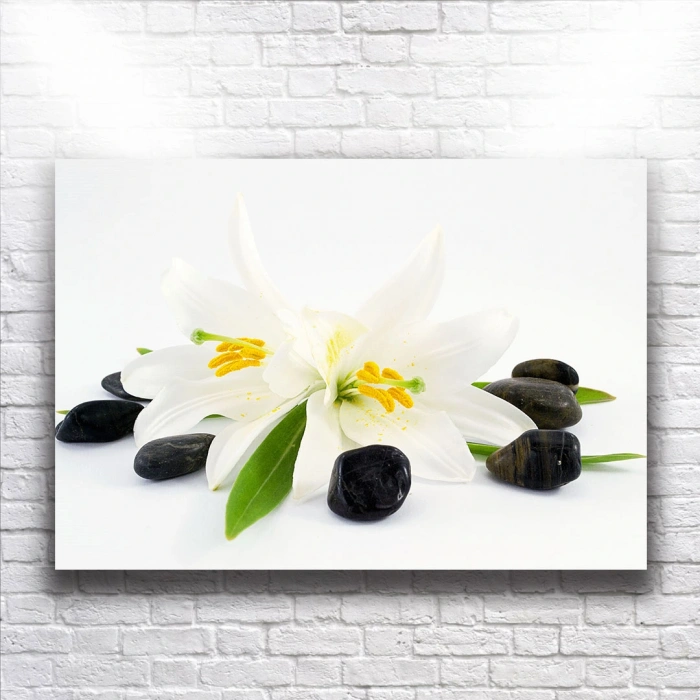 Beyaz Orkideler Kanvas