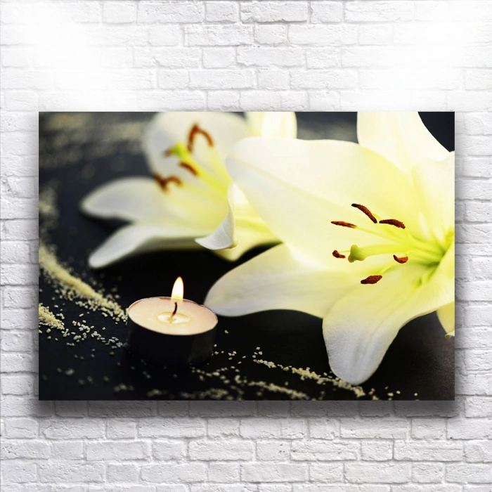 Beyaz Orkideler Kanvas