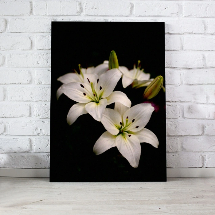 Beyaz Orkideler Kanvas