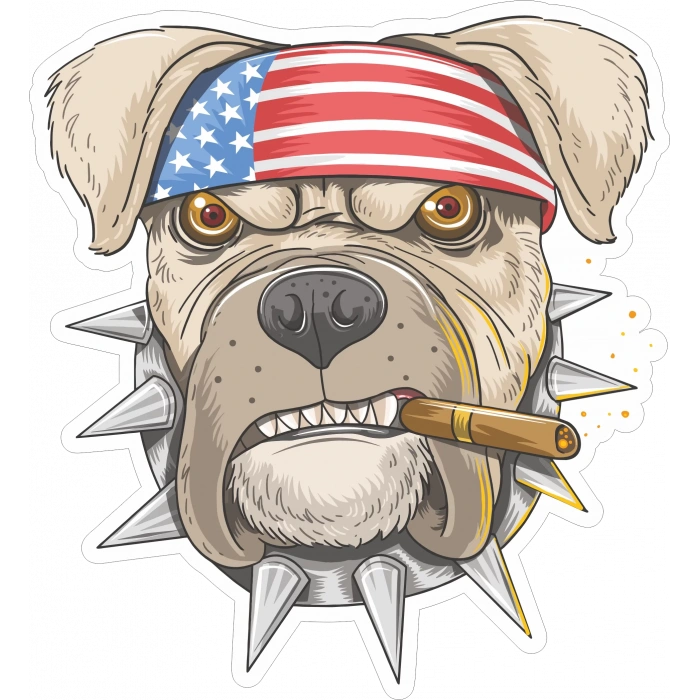 Bulldog 2 Sticker 10x10 cmRenkli Sticker