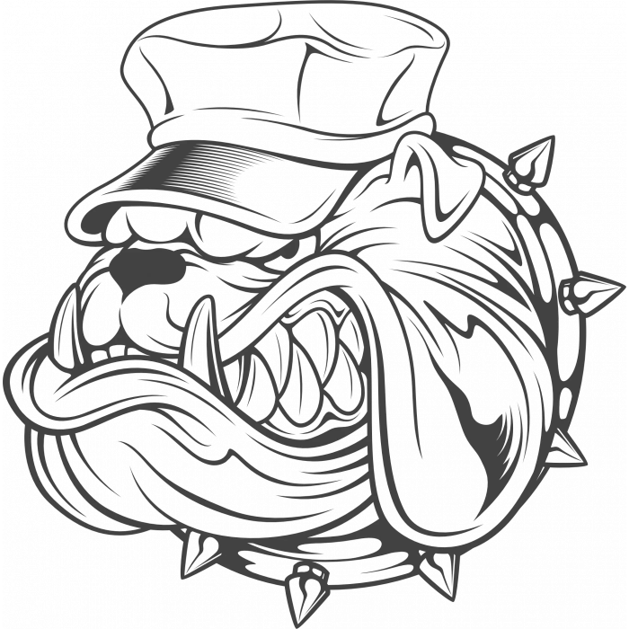 Bulldog Sticker 10x10 cmRenkli Sticker