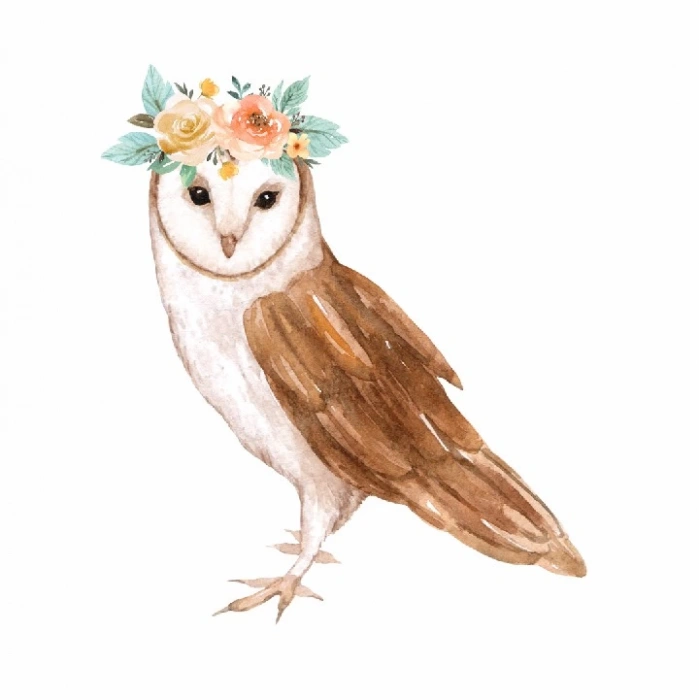 Çiçek Taçlı Baykuş Duvar Stickerı