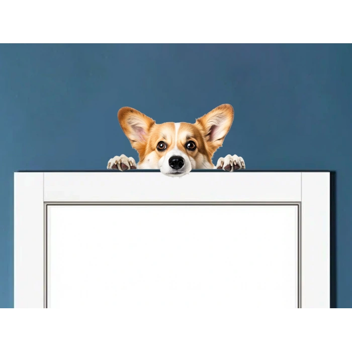 Corgi Yavrusu Duvar Stickerı