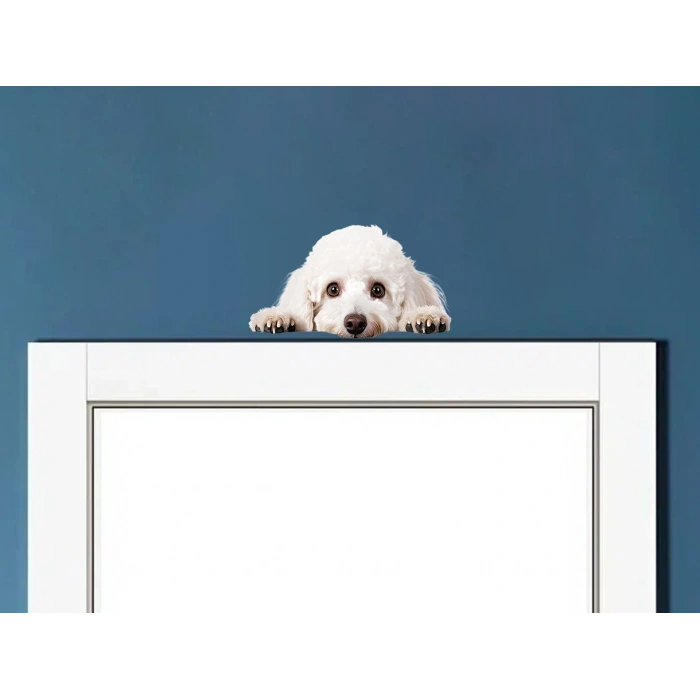 Corgi Yavrusu Duvar Stickerı