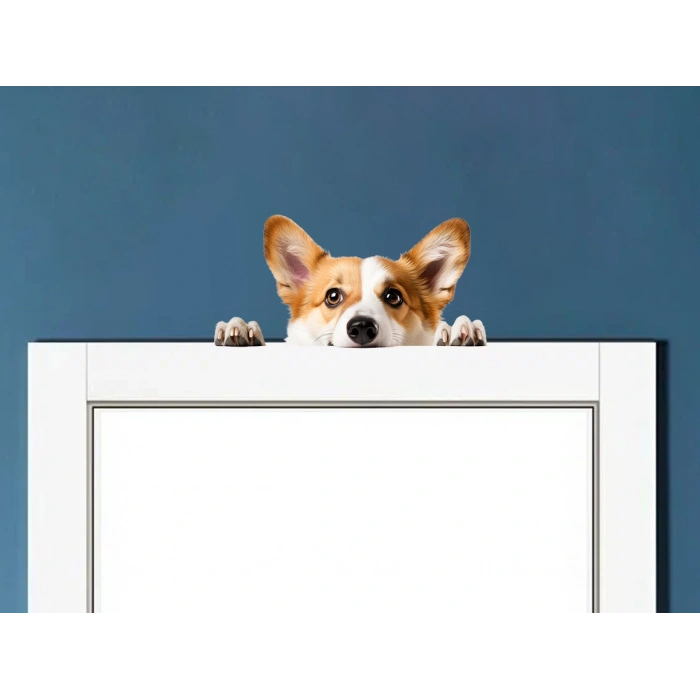 Corgi Yavrusu Duvar Stickerı