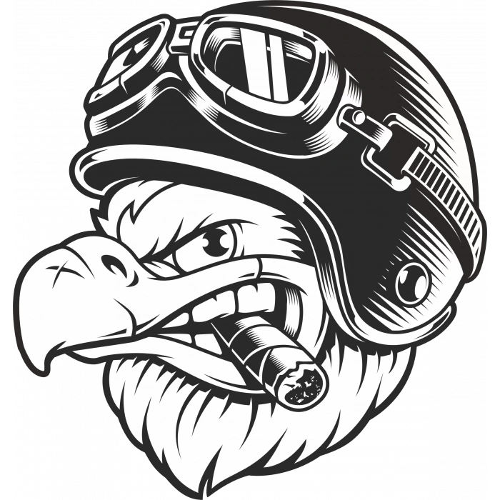 Kartal Sticker 10x10 cmRenkli Sticker