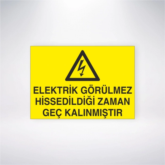 Elektrik Görülmez Hissedildiği Zaman Geç Kalınmıştır Sticker 20X28 Cm