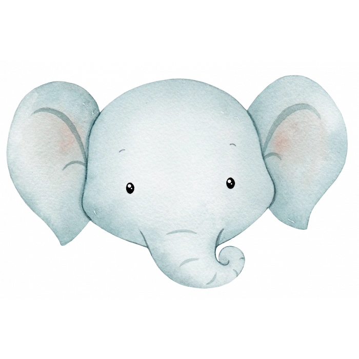 Fil Kafası Duvar Stickerı