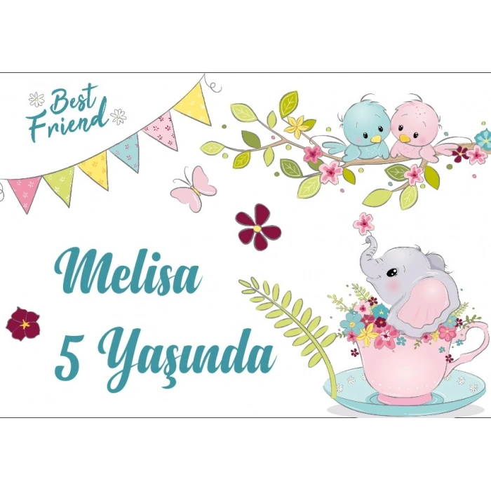 Fil ve Kedi Temalı Doğum Günü Afişi 70X100 cm