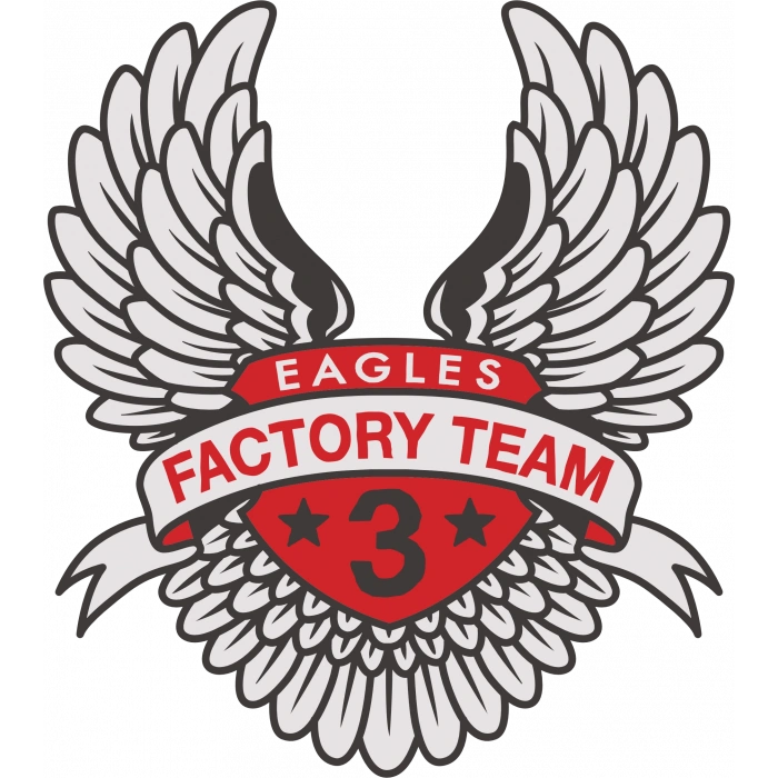 Eagles Factory Team Sticker 10x10 cmRenkli Sticker