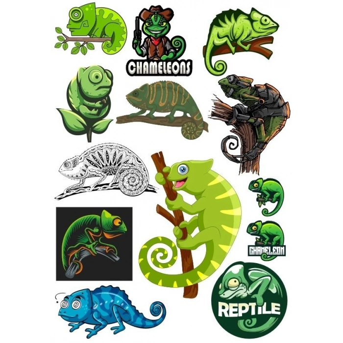 Gladiator Savaşçı Sticker Set-1 21 Parça Telefon, Tablet, Defter, Laptop Sticker