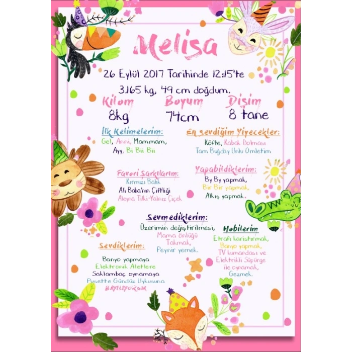 Sevimli Hayvanlar Temalı Yaş Panosu